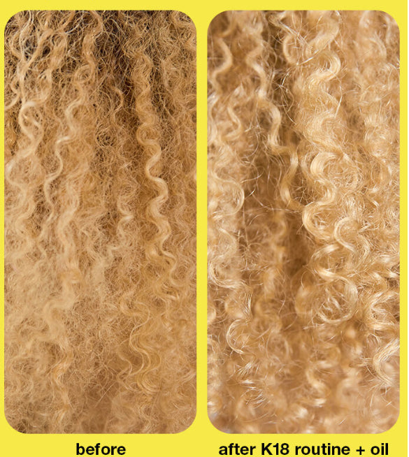 K18 BIOMIMETIC HAIRSCIENCE damage repair starter set